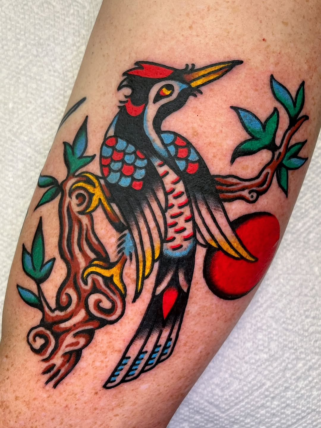 A colorful bird with spread wings and decorative tail feathers perched on a branch with foliage, on the calf.