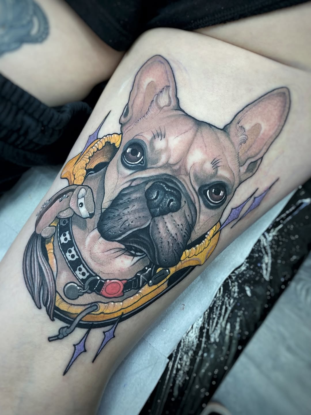 French Bulldog with expressive eyes wearing a gold and black studded collar on the forearm, rendered in black and grey shading.