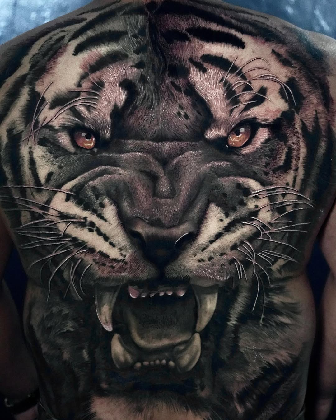 Fierce tiger head tattoo with amber eyes and bared fangs rendered in black and grey realism on chest.