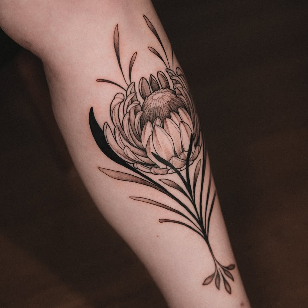 Detailed protea flower tattoo on inner arm with layered petals, delicate stamens, and flowing foliage in black and grey shading.