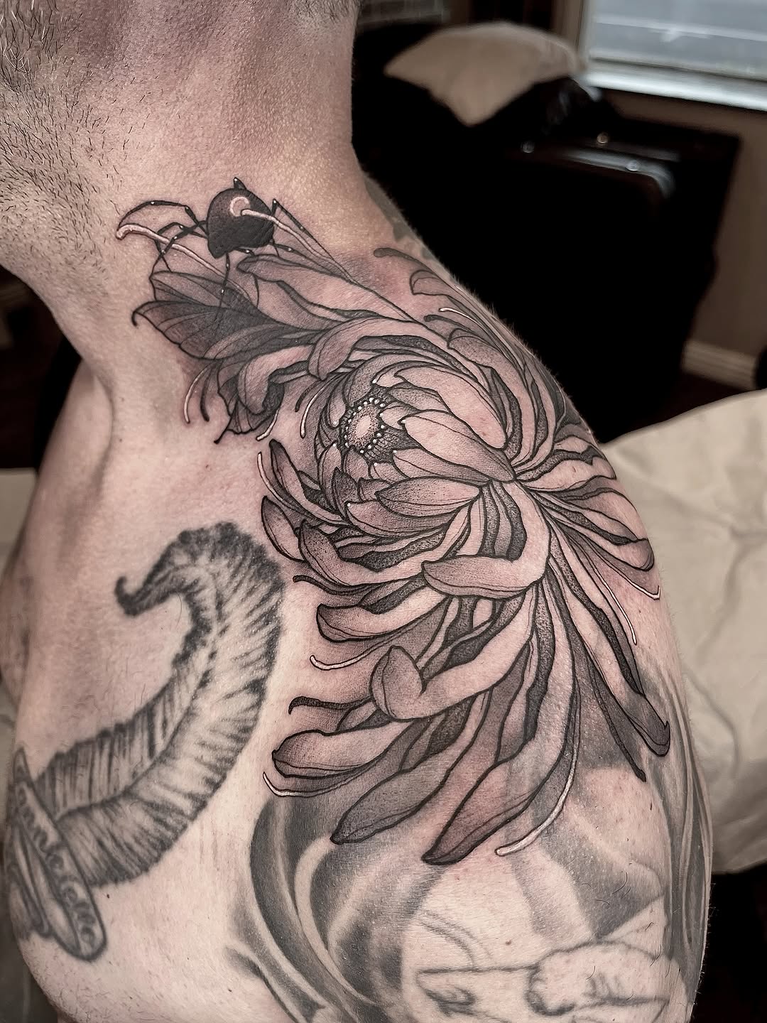 Detailed black and grey chrysanthemum flower with bee on upper arm, featuring soft shading and fine line work.