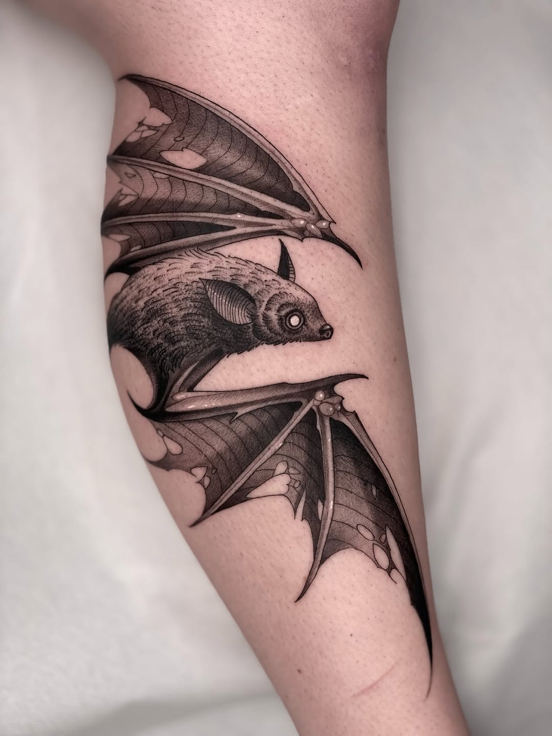Two detailed bats with spread wings and intricate membrane details in black and grey shading on an upper arm.