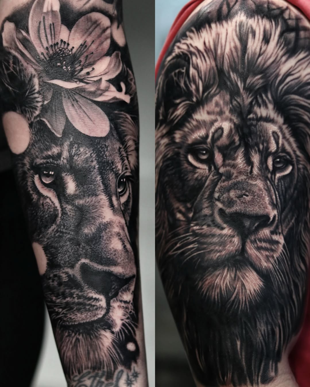 Two black and grey tattoos on arms featuring a lioness with flowers and a bearded lion's face with detailed fur texture and expressive eyes.