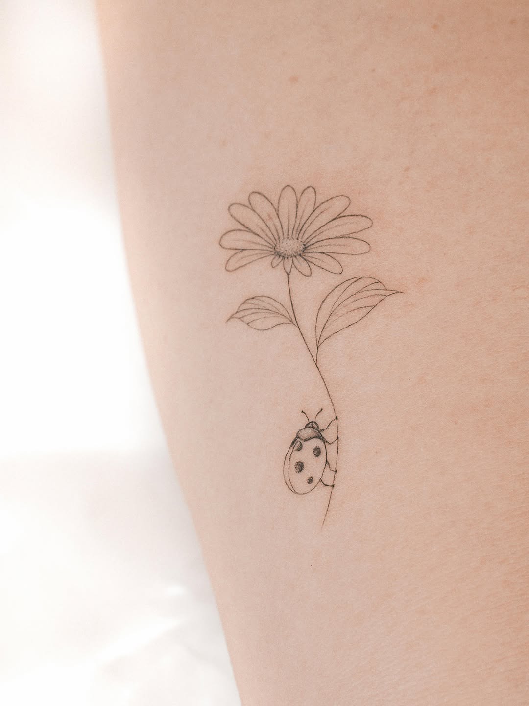 A delicate single-needle daisy flower with a ladybug climbing the stem, placed on the inner arm.